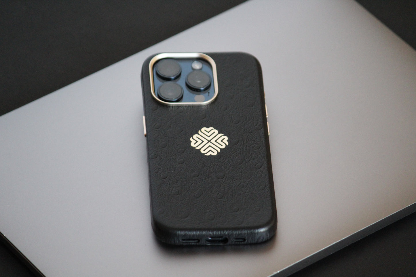Ostrich Black | MagSafe Premium Leather Luxury iPhone Cover